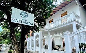 Hotel Cattaleya City
